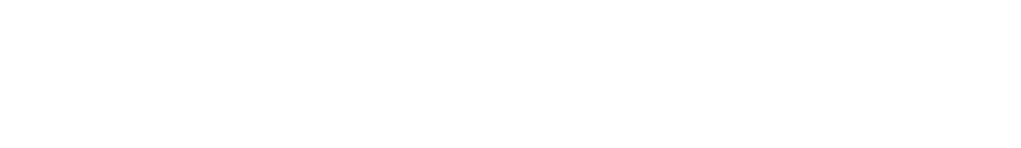 PP电子汽车